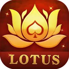 teen patti star3 patti online download